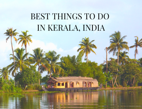 Best Things to do in Kerala, India