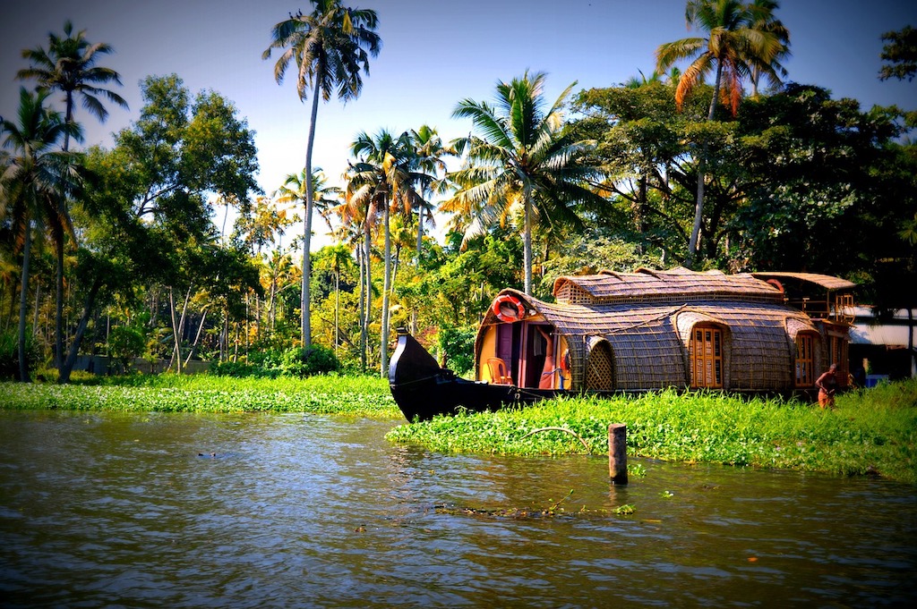 Admire the beautiful scenery of paddy fields and coconut palm as you cruise along the backwaters of Alleppey.