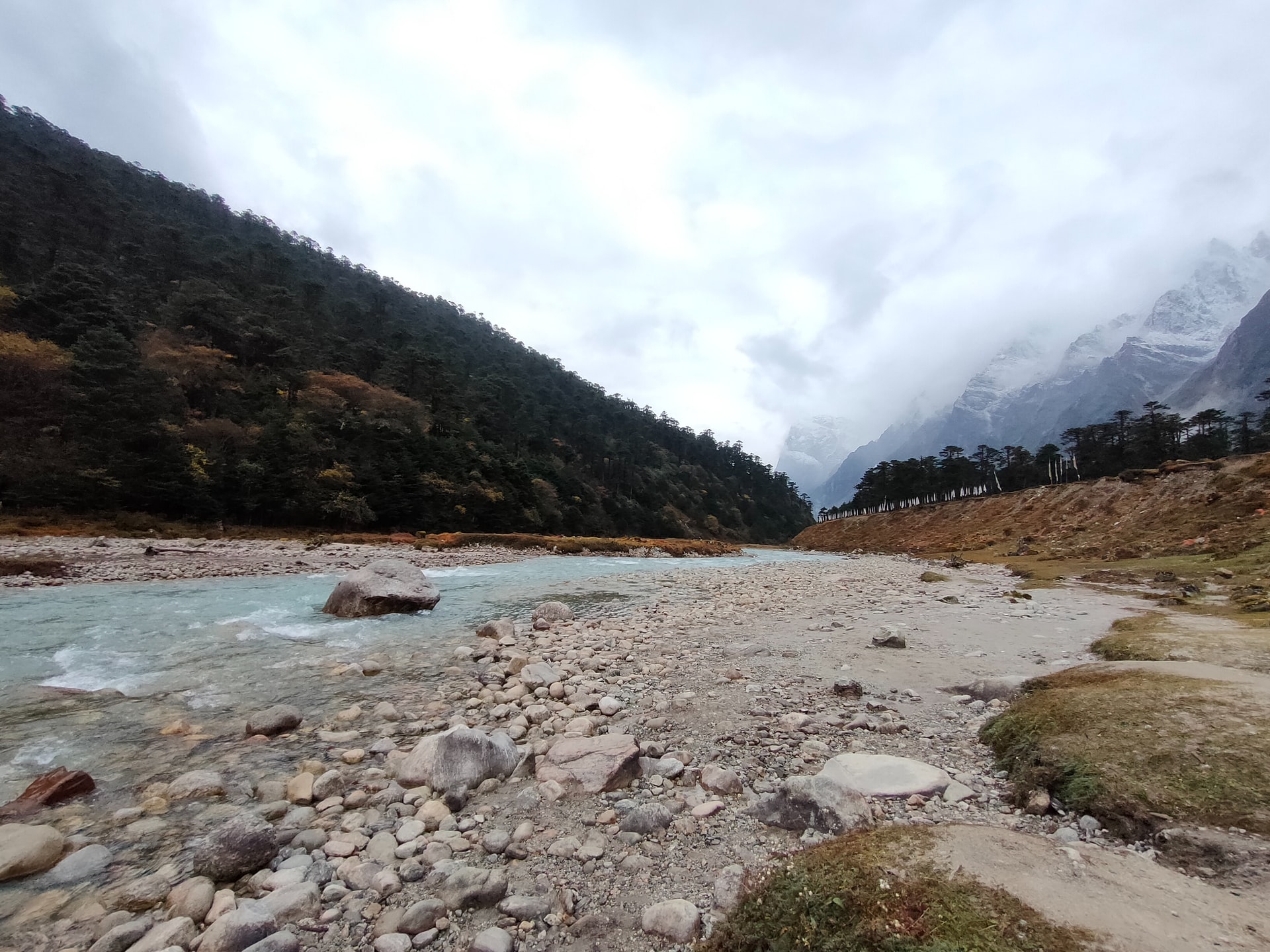Yumthang, Sikkim. India