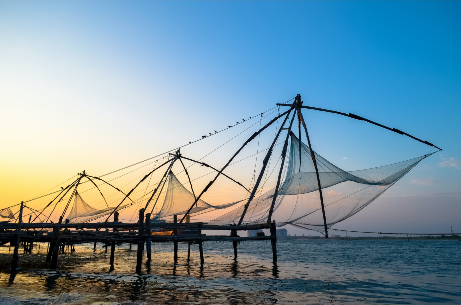 Chinese Fishing Nets Kochi, india